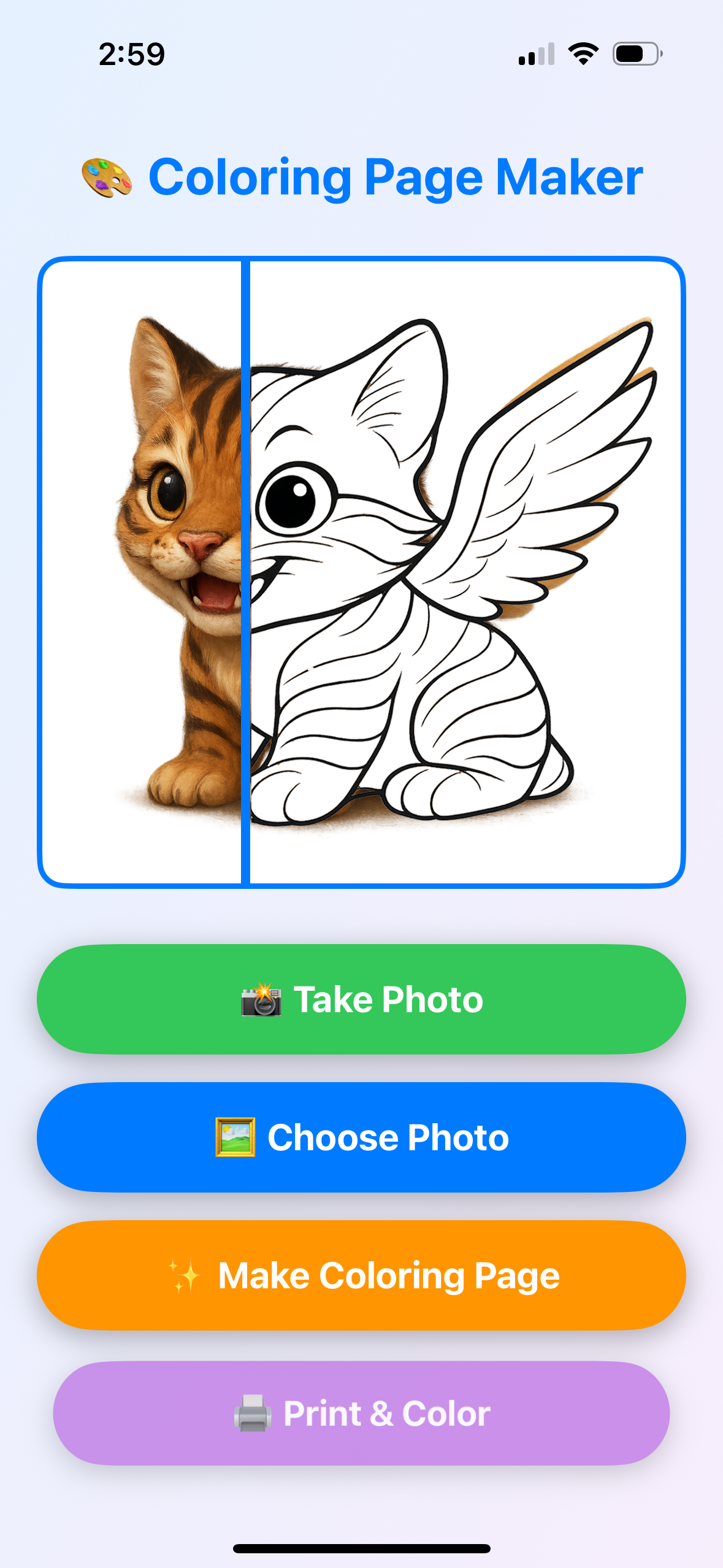 Photo transformed to coloring page